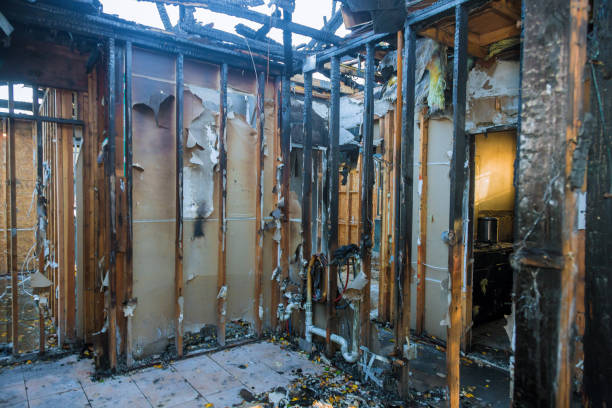 Professional Fire Damage Removal technician working in Country Club Hills, IL